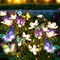 FENSAN Solar Garden Lights, Solar Lights Outdoor Garden, Garden Lights Solar Powered, Decor for Garden, Yard, Patio, Pathway, IP65 Waterproof, Solar Butterfly Lights Outdoor (2 Pack)